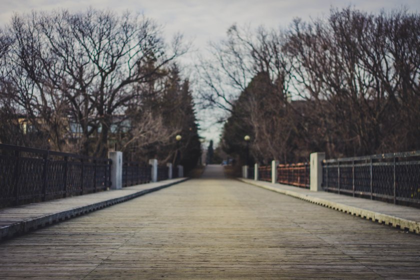 bridge, park, toronto, winter, canada