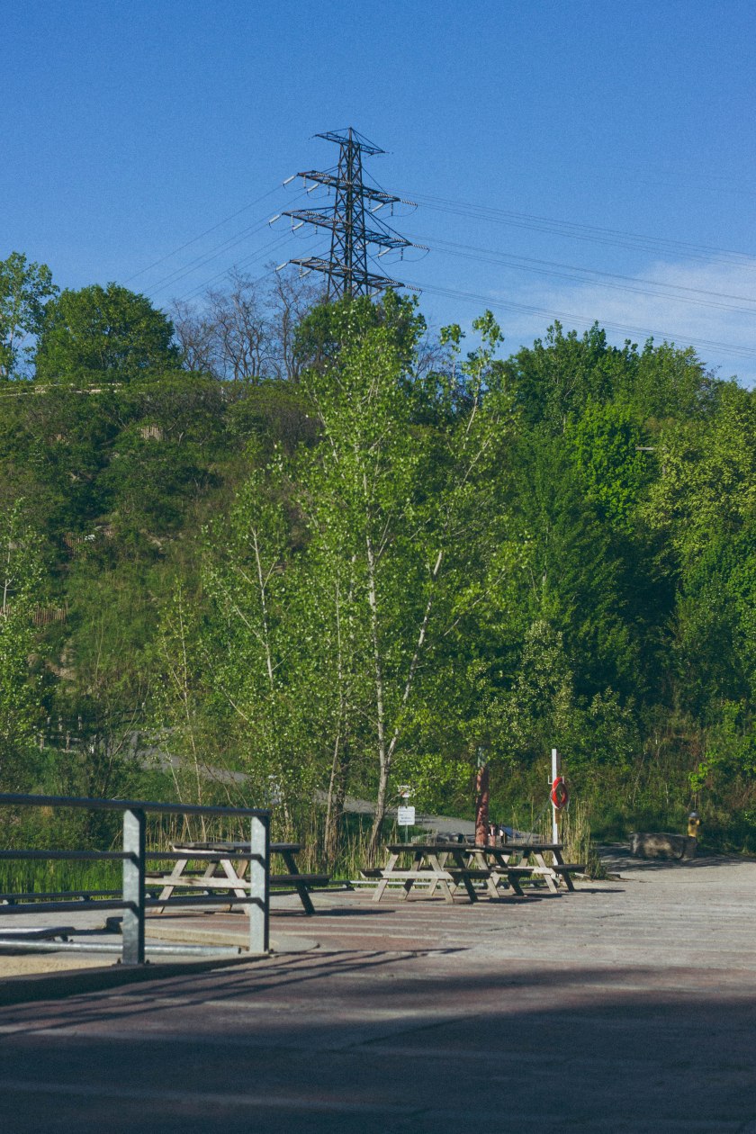 nature, hill, toronto, brickworks