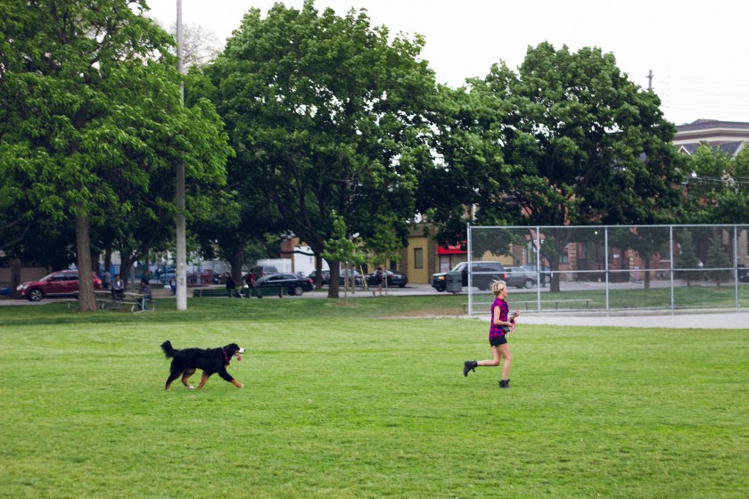 Portrait, Woman, Toronto, King Street, Liberty Village, dog, park