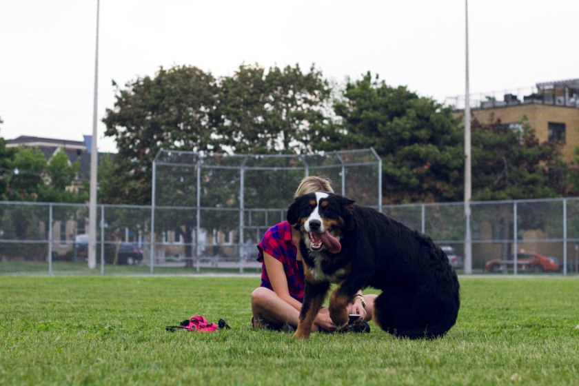 Portrait, Woman, Toronto, King Street, Liberty Village, dog, park