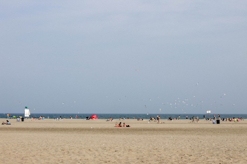 beach, toronto