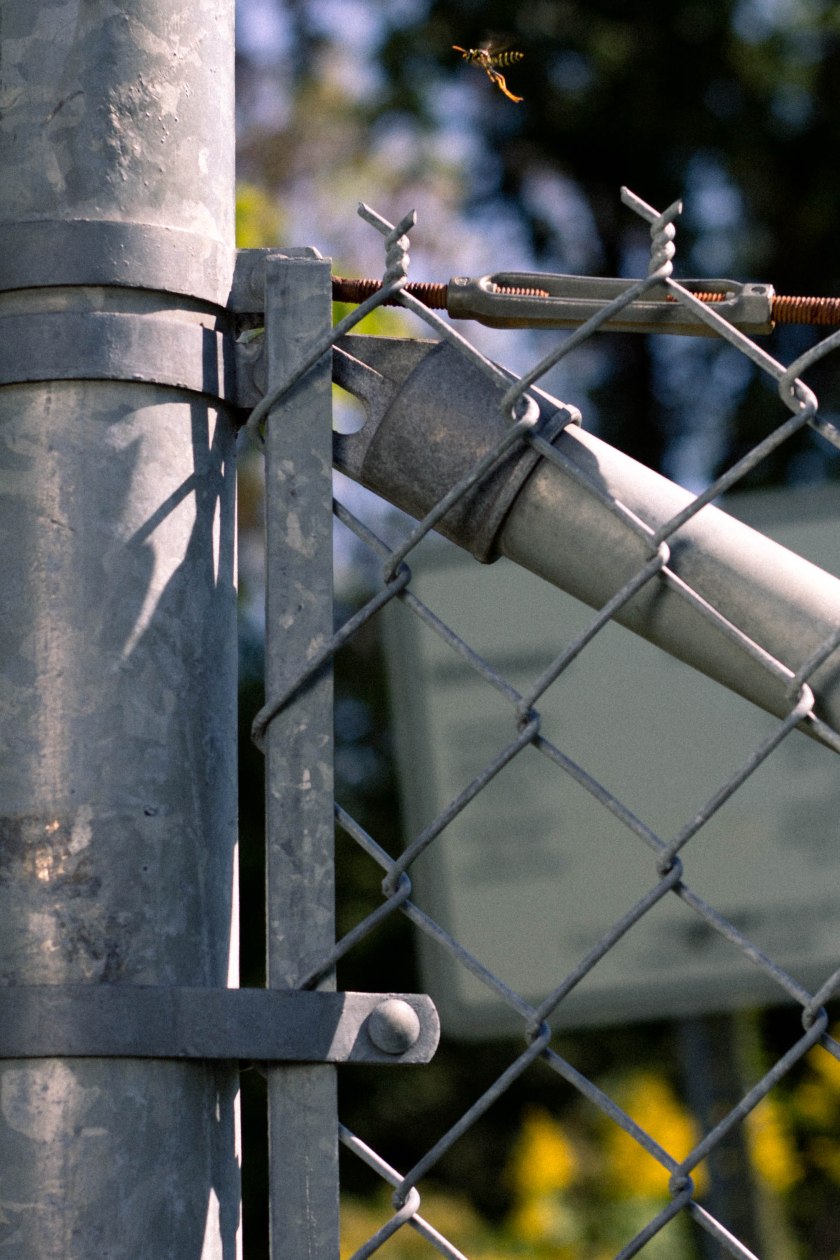 Peter Lepeniotis-1791