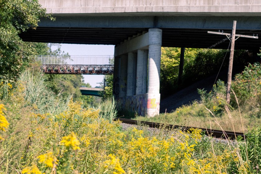 Peter Lepeniotis-1883