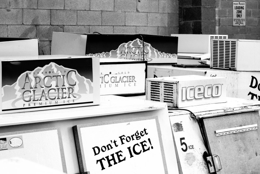 Peter Shoebridge in BW-3381