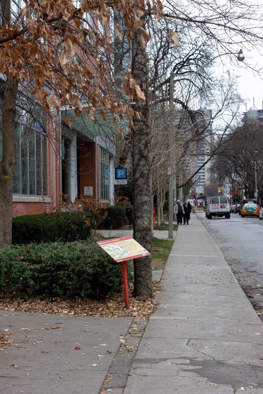 Kevin Timberlake-5530