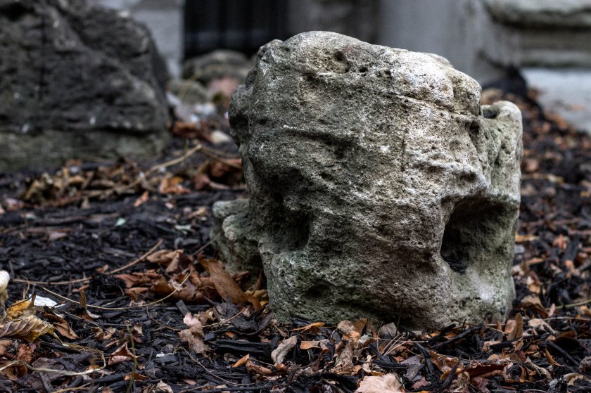 Kevin Timberlake-5569